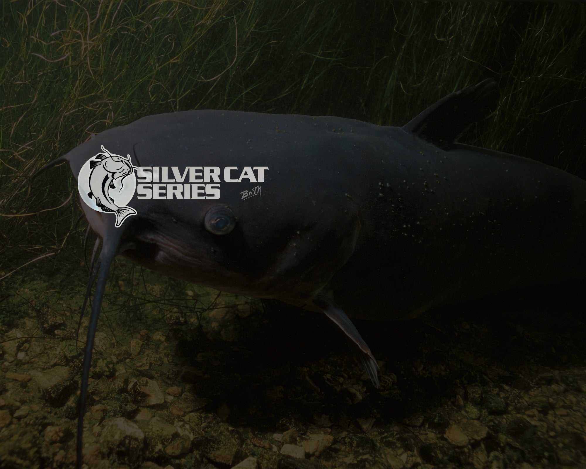PENN Legion Cat Bronze Belly Catfish Combo Silver