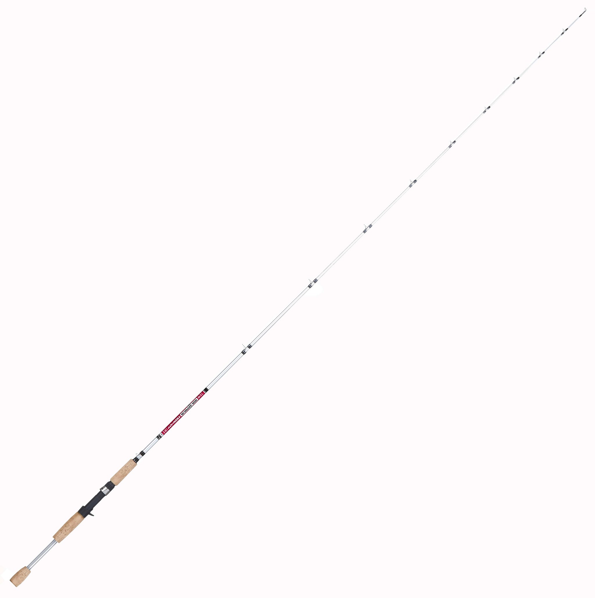 BnM SILVER CAT MAGNUM 10' CATFISH SPINNING ROD CRAPPIE POLE MAG10S